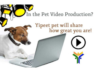 Who could ask for more with YipeePet!