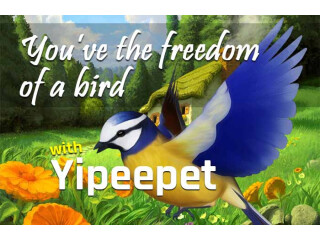 More freedom with YipeePet!… Yipee!