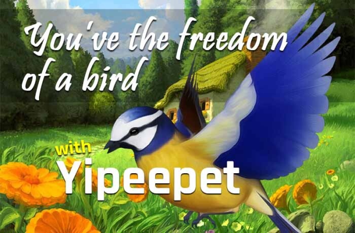 more-freedom-with-yipeepet-yipee-big-0