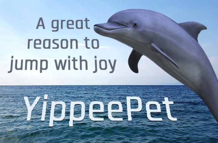 yipeepet-makes-you-wanna-jump-for-joy-big-0