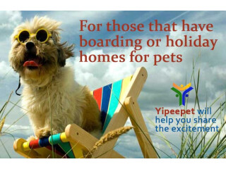 Get All the Privileges YipeePet Offers!