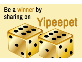 Boost your sales with YipeePet!