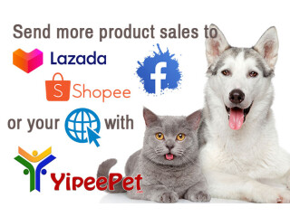 Why you need the love of YipeePet!