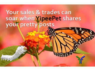 Link your products to FB Groups or your shopping sites